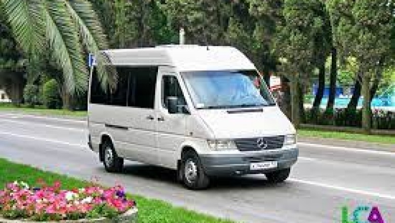 Mexico Sea of Cortez - An Adventure With Sea Lions And Baby Whales