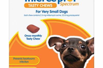 Buy Interceptor Spectrum Heartworm Treatment For Dogs Online - DiscountPetCare