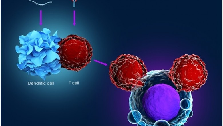 Cancer Immunotherapy Market: Research Report Overview by Industry Size, Share, Trends, Growth & Leading Players (2018-2023)