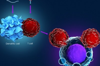 Cancer Immunotherapy Market: Research Report Overview by Industry Size, Share, Trends, Growth & Leading Players (2018-2023)