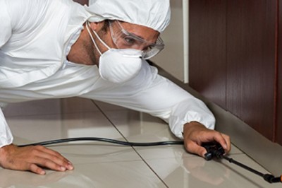 Hire Professional Termite Control across Adelaide.