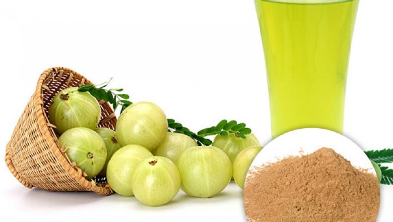 USDA Approved Bulk Organic Amla Extract Powder Supplier in USA