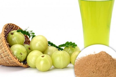 USDA Approved Bulk Organic Amla Extract Powder Supplier in USA