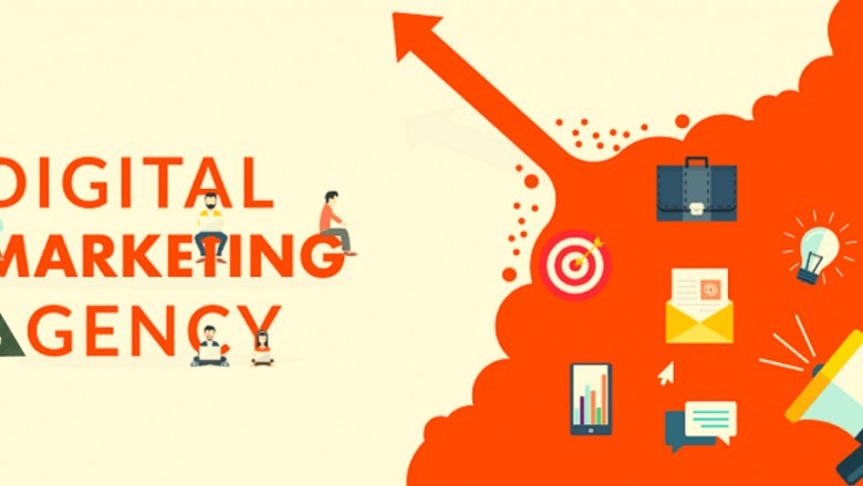 digital marketing expert