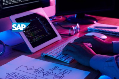 Enterprise Application Software SAP Easy Customer Support Access