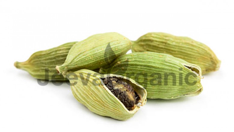 Organic Cardamom Powder Supplier |