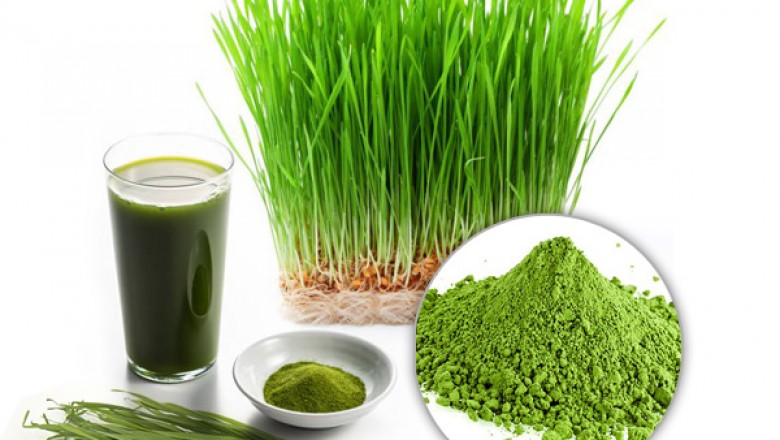 Organic Wheat Grass Juice Powder