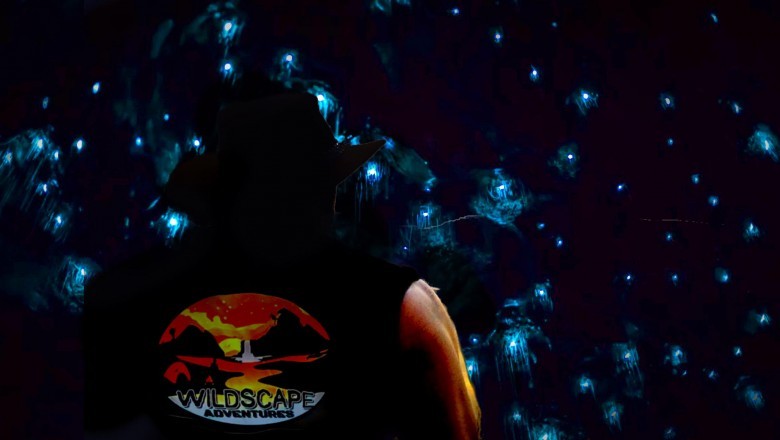 Blue Mountains Adventure