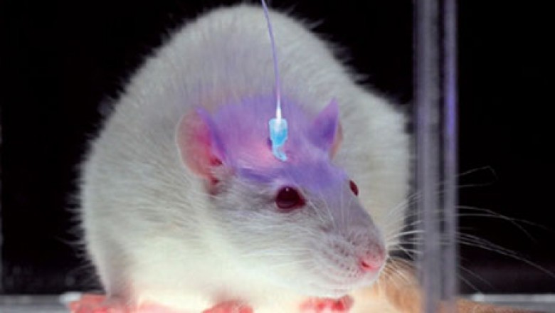 Optogenetics Finds Application in Treatment of Parkinson's infection, Alopecia, Muscular Dystrophy, and Idiopathic Scars