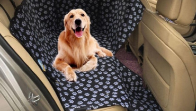 The 5-Second Trick For Dog Accessories