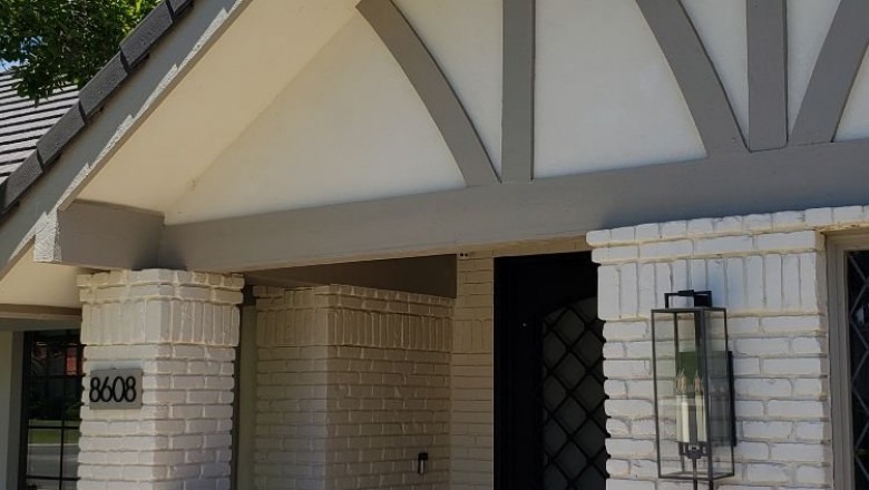 Pest Control Rodents