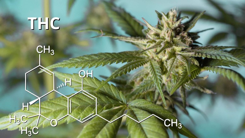 Delta-9-Tol and Delta-8-THC Buyback