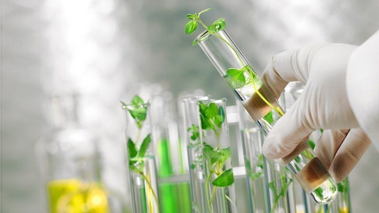 Hormones that are bio-identical to each other Find Use in Hormone Therapy to Relieve Menopause Symptoms