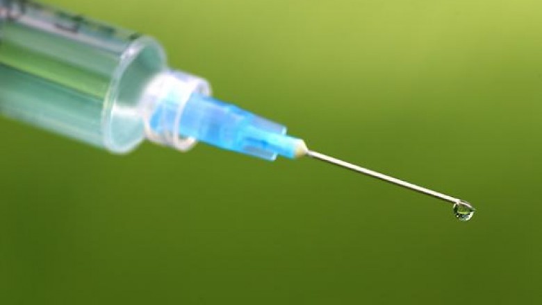 Inactivated and Live-Attenuated Chimeric PEV1-2b Porcine Reproductive and Respiratory Syndrome Vaccines Induce Robust Antibody Responses