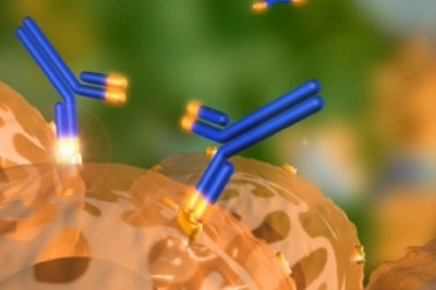 Graft Versus Host Disease (GvHD) Market to Grow Due to High Adoption of Hematopoietic Stem Cell Transplantation and Rising Cancer Prevalence