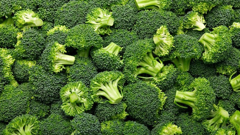 How Long Does Broccoli Last – Answer Might Surprise You