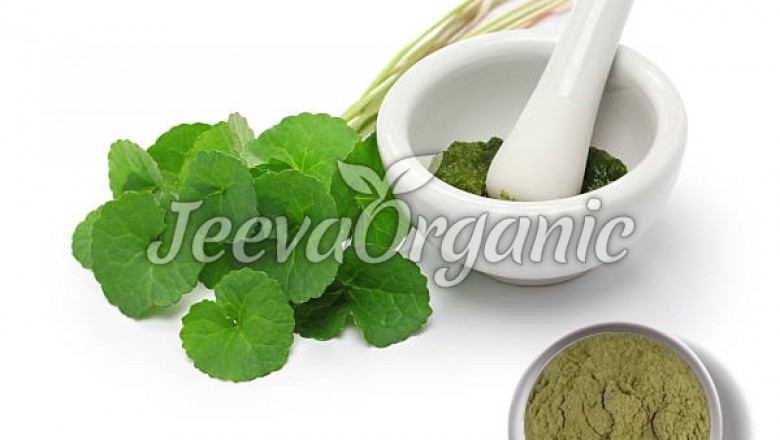 Gotu Kola Powder