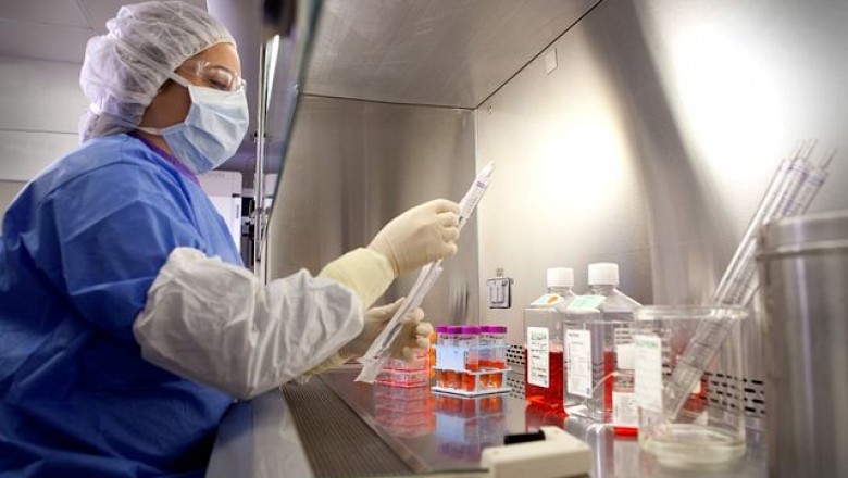 Mycoplasma diagnostics have an essential role in molecular biology applications.