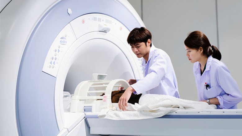 Small Animal Imaging Has a Big Impact on Early Detection of Diseases and Injuries in Animals.