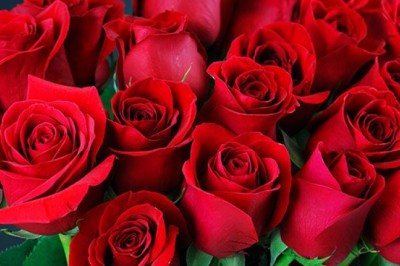 Top 5 Universal Flowers For The Men you love