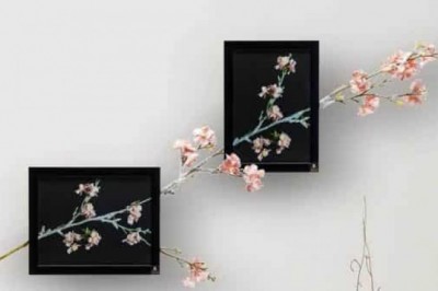 Importance of Unique Designed Wall Arts, Frames and, Wall Shelves