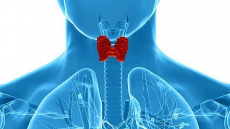 India Thyroid Function Test Market To Surpass US$ 58.9 Million By 2027
