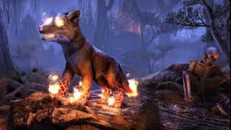 The Eso Gold importance