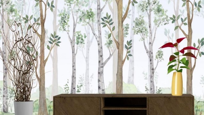 Birch Tree Bedroom Wall Decor, Traditional or Removable Peel and Stick Wallpaper, Printmyspace