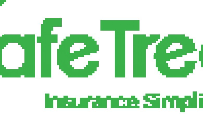 Safetree job opportunities