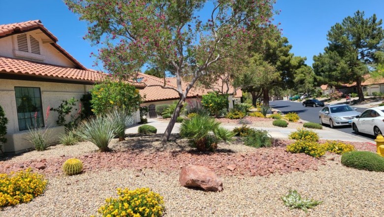 Landscaping henderson Nevada