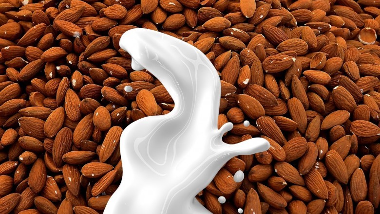 Almond Milk Market - Global Industry Analysis 2026