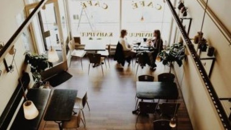 Successful and Efficient Mould Removal