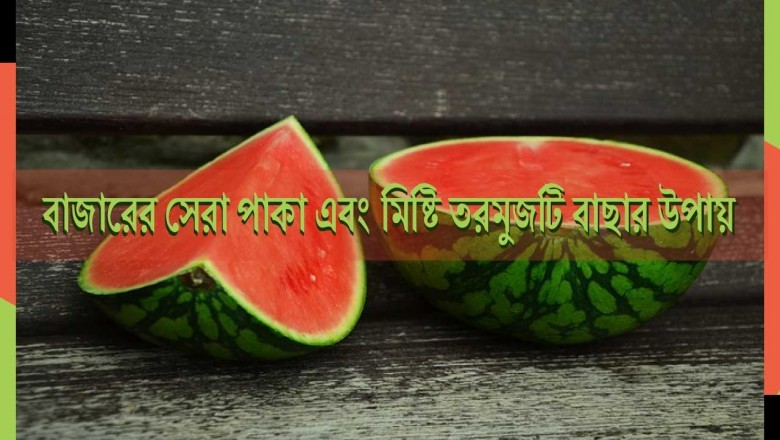 The best way to pick ripe and sweet watermelon on the market