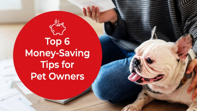 Top 6 Money-Saving Tips for Pet Owners