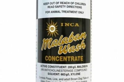 Buy Inca Online At Lowest Price With Free Shipping - DiscountPetCare