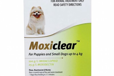 Buy Norbrook Online At Lowest Price With Free Shipping - DiscountPetCare