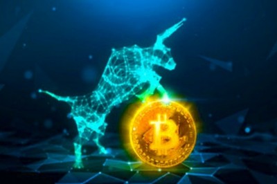 Create a profitable Local Cryptocurrency Exchange platform with high-end features