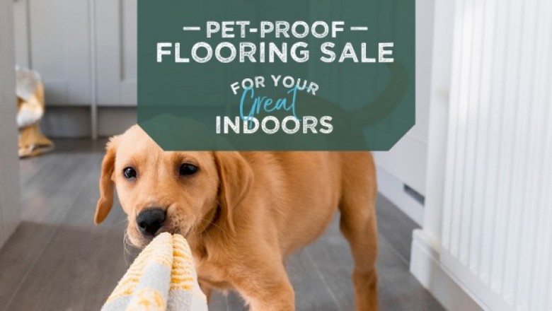 carpet flooring in prescott valley az
