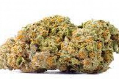 Chem Dawg