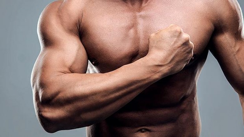 increase muscle 0