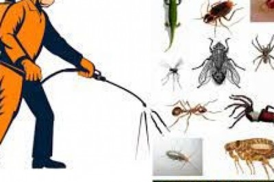 end of lease pest control sydney