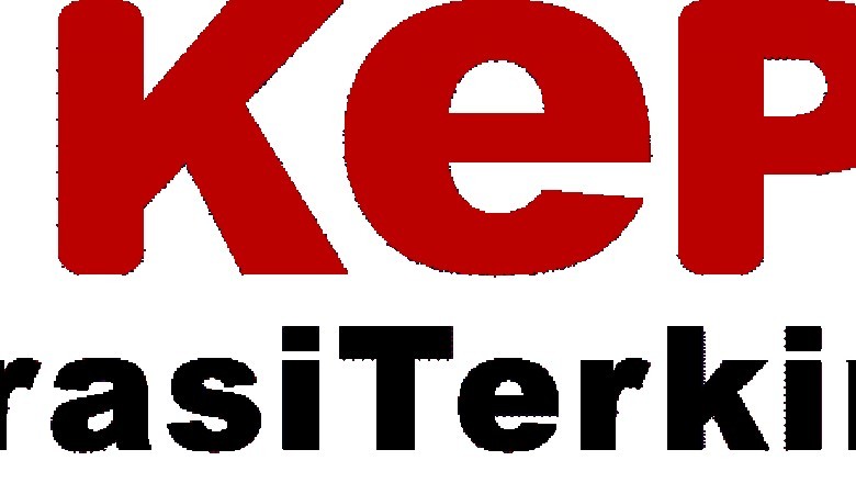 apa itu Kehamilan Ektopik detikepri.com