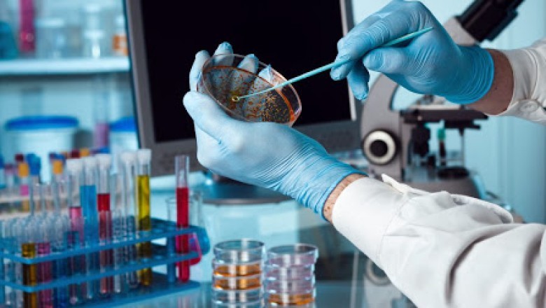 COVID-19's Effect on the Enteric Disease Testing Market in 2021: Industry Size, Latest Trends, Global Growth, and Forecast Research Report 2027
