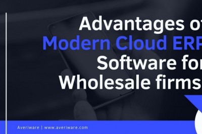 Economical Cloud ERP Software For Wholesale Business