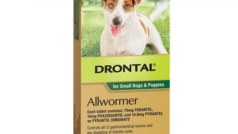 Buy Drontal Online At Lowest Price With Free Shipping - DiscountPetCare