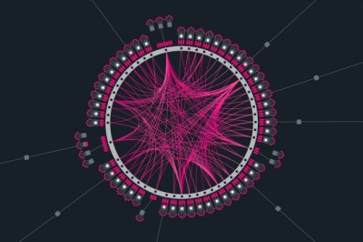 Cardano Or Polkadot, Which Is The Best Project?