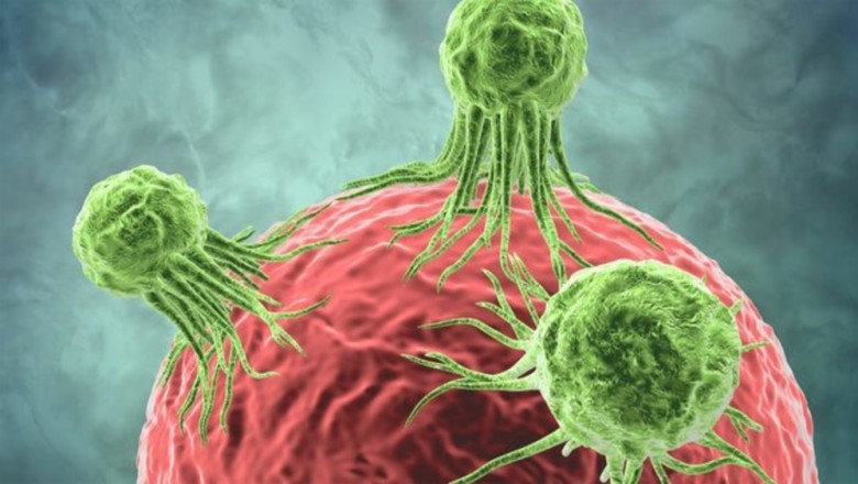 Global Immune Anti-Inhibitor market research includes historical and forecast data