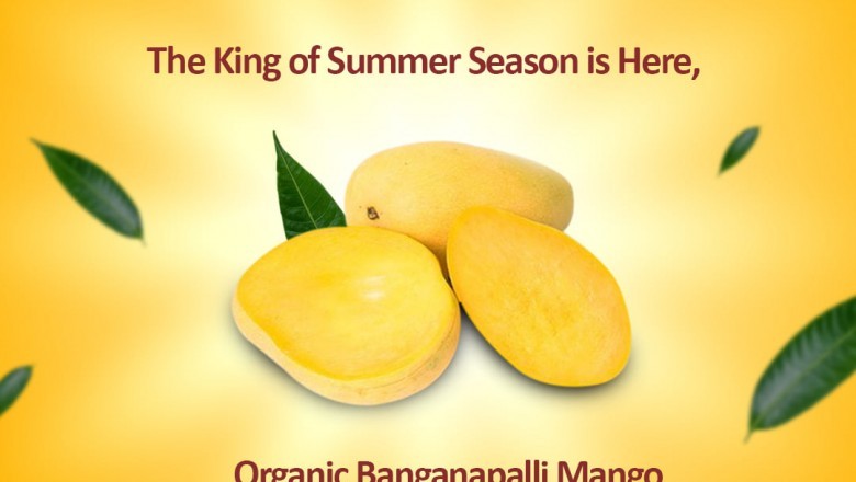 Organic Hand-Picked Banganapalli Mango