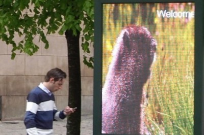 LED Video Display