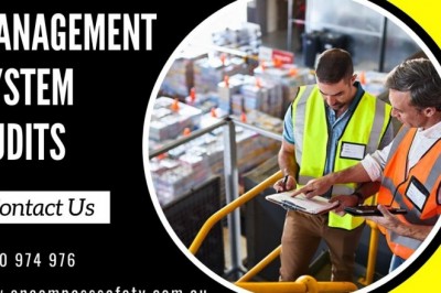 Management System Audits